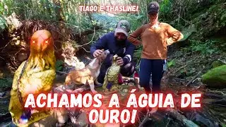 Achamos a lendária Águia de ouro!