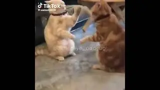 это мы с тобой:🤣❤️