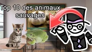 TOP 10 DES ANIMAUX SAUVAGE