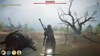 Assassin's Creed Odyssey. Kalydonian Boar. Nightmare Difficulty. Flawless victory.