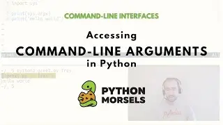 Accessing command line arguments in Python