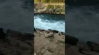 родник . #мы деревенские .