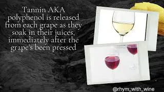 Basic characteristics of wine | 5 basic characteristics of wine | wine @rhym_with_wine