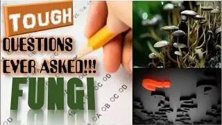 FUNGI | TOUGHEST Questions ever asked in various Medical exams |