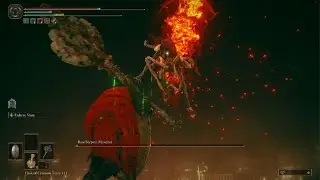 ELDEN RING: Killing Messmer with Hornsent still alive