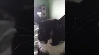 Андрюш ты что такой кислый сидишь 