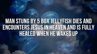 Man Stung By 5 Jellyfish Dies and Encounters Jesus in Heaven and is Fully Healed When He Wakes Up