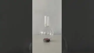 Insane Reaction 