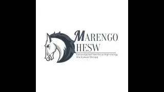 Обзор аппарата ударно-волновой терапии Marengo HESW