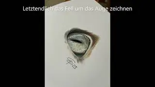 Hyperrealistisches Katzenauge zeichnen #shorts #zeichnen lernen