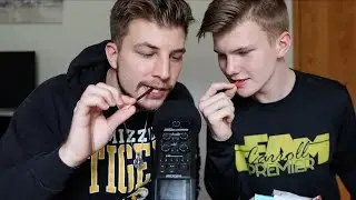 ASMR With My Brother (and Cat) | Trying Foreign Snacks | Mouth Sounds & Crinkles