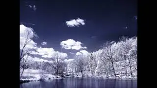 Gobelet - Snow Dub