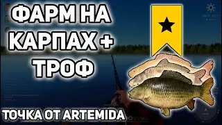 ЯНТАРКА | ТРОФ+ФАРМ НА КАРПАХ