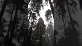Spring Blizzard 3