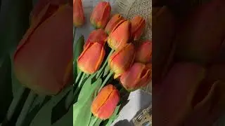 Летний ассортимент