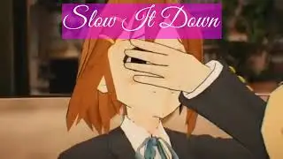 Slow It Down Multi Zapor