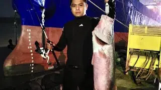 memancing seperti ini membuat betah#fishing
