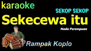 SEKECEWA ITU - KARAOKE NADA PEREMPUAN | SHINTA ARSITA VERSI DJ AJEP AJEP