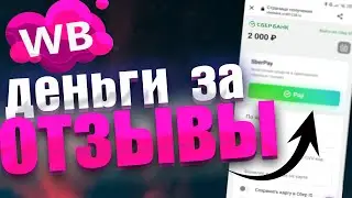 платят деньги за отзывы на wildberries // РАЗОБЛАЧЕНИЕ