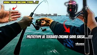 Musim Ikan Rambe Di Jakarta || Jangan Sampe Ketinggalan Moment Ini....!!!!