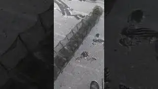 РАКИ СО ЛЬДА. ВСЁ....