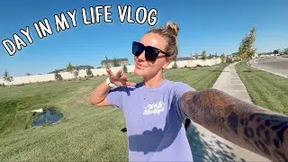 DAY IN MY LIFE VLOG // grocery haul, workout, dinner & chit chat