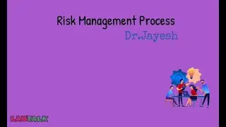Risk Management VII - Risk Management Process