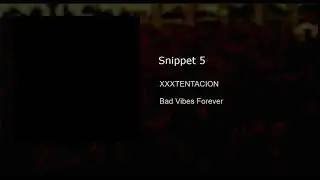 Snippet 5