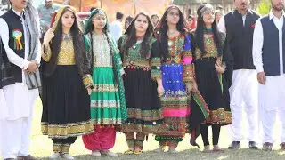 Pukhtoon Culture dance (attan) in Comsats Wah