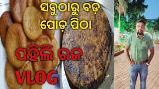 Banaste Dakile Gaja | Surya Vlogs