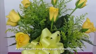 A Dozen Roses - Sending Love