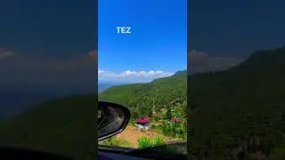 Songül Güner - Dağlara mı Yazdın?