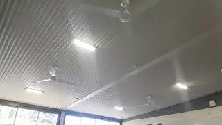 56