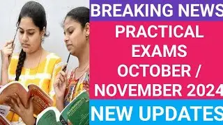 PRACTICAL EXAM UPDATES - OCTOBER/NOVEMBER 2024 | BOARD PRACTICAL RECORD NEED OR NOT? | MCQ QUESTION?
