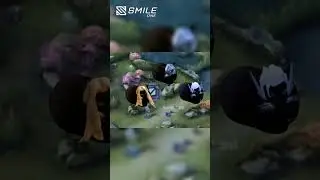 #mlbb