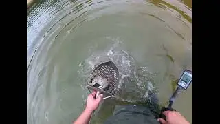 И все таки я его нашел!