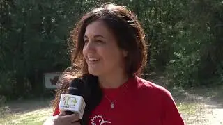 Castel di Guido, nuovi cuccioli di lupo nella riserva - Canale 10
