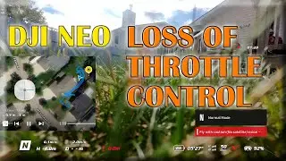 NEO Manual Mode Throttle Control Loss