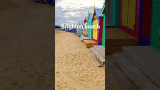 #shorts #australia #beach #life #travel #youtube #youtubeshorts #short #shortvideo