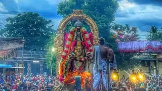 Kanchipuram Sri Varadharaja Swamy Aani Garuda Vahana purappadu