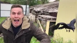 Друг всегда рядом!