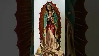 Devocion Virgen de Guadalupe#shorts#guadalupe#2023#13