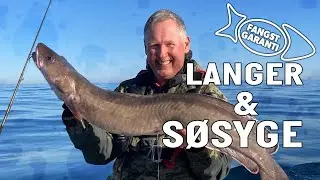LANGER & SØSYGE // FANGSTGARANTI
