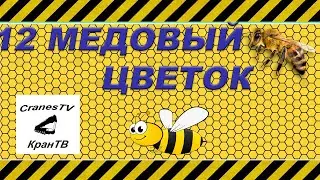 12 Медовый цветок [Honey flower]