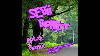 SEBii - BONErr (Aptek Remix) (ft. The King Of Amps & Juicy Jugs)