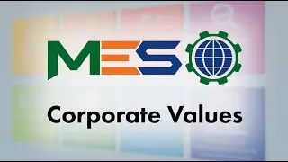MES Corporate Values