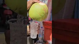 How Coconut Water Is Made 🤯 Coconut Tree Interesting Process 😳