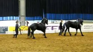 Работа на вожжах
