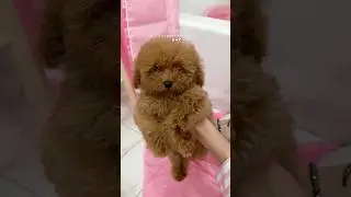 it’s bath time! 