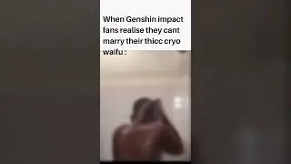 Genshin Impact players Be like :   